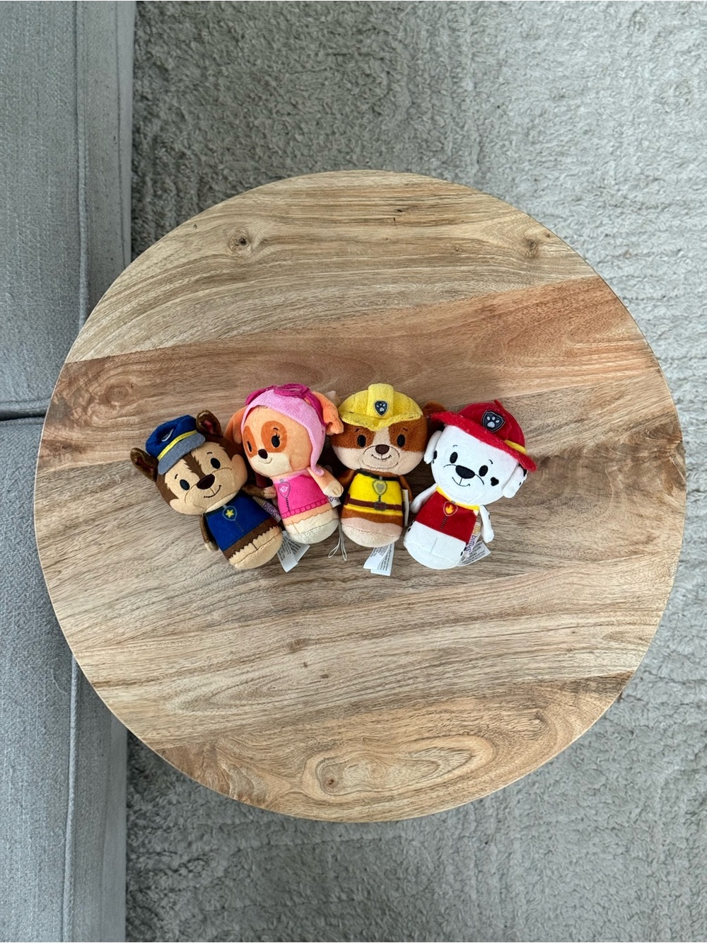 Hallmark Itty Bittys Paw Patrol Lot